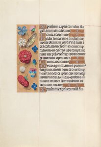 Horas da Rainha Isabel, a Católica, Rainha da Espanha: Fol. 51v, c. 1500. de Master of the First Prayerbook of Maximillian