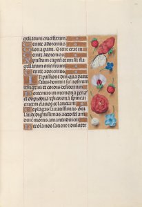 Horas da rainha Isabel, a católica, rainha da Espanha: Fol. 52r, c. 1500. de Master of the First Prayerbook of Maximillian