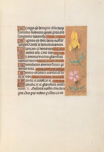 Horas da rainha Isabel, a católica, rainha da Espanha: Fol. 56r, c. 1500. de Master of the First Prayerbook of Maximillian