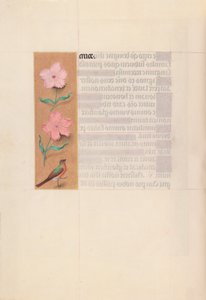 Horas da rainha Isabel, a Católica, rainha de Espanha:  Fol. 56v de Master of the First Prayerbook of Maximillian