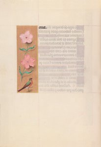 Horas da rainha Isabel, a católica, rainha da Espanha: Fol. 56v, c. 1500. de Master of the First Prayerbook of Maximillian