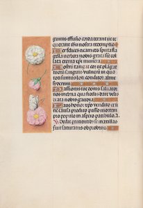 Horas da rainha Isabel, a católica, rainha da Espanha: Fol. 58v, c. 1500. de Master of the First Prayerbook of Maximillian