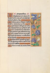 Horas da rainha Isabel, a católica, rainha da Espanha: Fol. 59r, c. 1500. de Master of the First Prayerbook of Maximillian