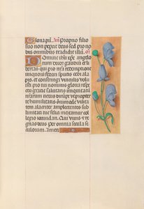 Horas da rainha Isabel, a católica, rainha da Espanha: Fol. 60r, c. 1500. de Master of the First Prayerbook of Maximillian