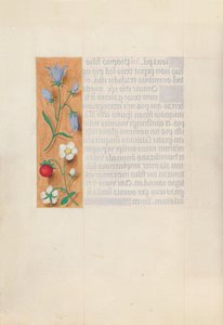 Horas da rainha Isabel, a católica, rainha da Espanha: Fol. 60v, c. 1500. de Master of the First Prayerbook of Maximillian