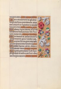 Horas da rainha Isabel, a católica, rainha da Espanha: Fol. 64r, c. 1500. de Master of the First Prayerbook of Maximillian