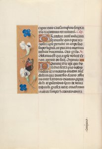 Horas da rainha Isabel, a Católica, rainha de Espanha:  Fol. 67v de Master of the First Prayerbook of Maximillian