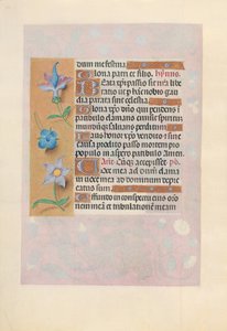 Horas da rainha Isabel, a católica, rainha da Espanha: Fol. 69v, c. 1500. de Master of the First Prayerbook of Maximillian