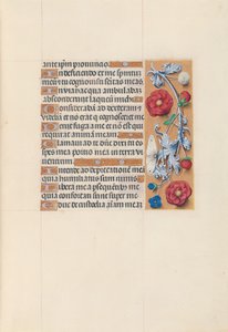 Horas da rainha Isabel, a católica, rainha da Espanha: Fol. 70r, c. 1500. de Master of the First Prayerbook of Maximillian