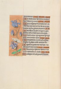 Horas da rainha Isabel, a católica, rainha da Espanha: Fol. 75v, c. 1500.