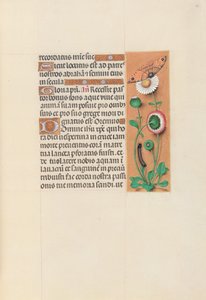 Horas da rainha Isabel, a católica, rainha da Espanha: Fol. 76r, c. 1500. de Master of the First Prayerbook of Maximillian