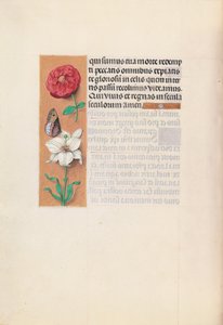 Horas da rainha Isabel, a Católica, rainha de Espanha:  Fol. 76v de Master of the First Prayerbook of Maximillian