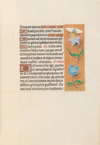 Horas da rainha Isabel, a católica, rainha da Espanha: Fol. 79r, c. 1500. de Master of the First Prayerbook of Maximillian