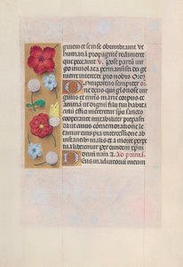 Horas da rainha Isabel, a católica, rainha da Espanha: Fol. 81v, c. 1500. de Master of the First Prayerbook of Maximillian
