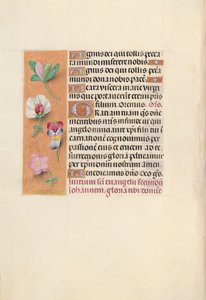 Horas da rainha Isabel, a católica, rainha da Espanha: Fol. 92v, c. 1500. de Master of the First Prayerbook of Maximillian