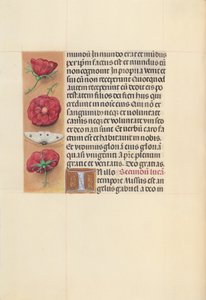 Horas da rainha Isabel, a Católica, rainha de Espanha:  Fol. 93v de Master of the First Prayerbook of Maximillian