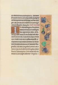Horas da rainha Isabel, a católica, rainha da Espanha: Fol. 96r, c. 1500. de Master of the First Prayerbook of Maximillian