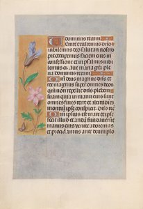 Horas da rainha Isabel, a católica, rainha da Espanha: Fol. 98v, c. 1500. de Master of the First Prayerbook of Maximillian
