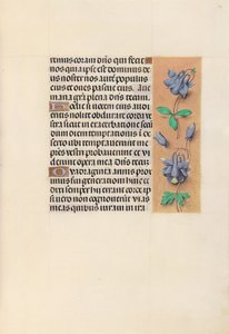 Horas da rainha Isabel, a católica, rainha da Espanha: Fol. 99r, c. 1500. de Master of the First Prayerbook of Maximillian