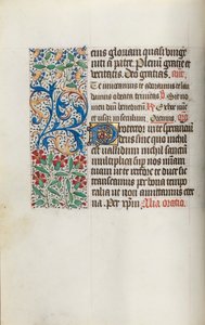 Livro de Horas de Uso de Rouen: fol. 14v, c. 1470 de Master of the Geneva Latini