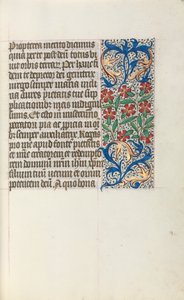 Livro de Horas de Uso de Rouen: fol. 24r, c. 1470 de Master of the Geneva Latini