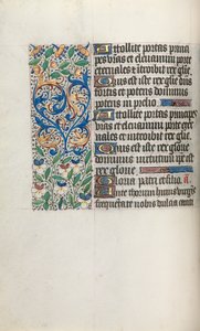Livro de Horas de Uso de Rouen: fol. 34v, c. 1470 de Master of the Geneva Latini