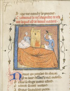 Miniatura de um manuscrito do Roman de la Rose por Guillaume de Lorris e Jean de Meun, ca 1365 de Master of the Rose novels
