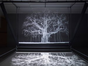 Albion, 2017 (Projetor, leitor multimédia, andaime, película transparente, madeira, tinta, espelho, acessórios de alongamento) de Mat Collishaw