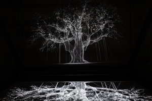 Albion, 2017 (Projetor, leitor multimédia, andaime, película transparente, madeira, tinta, espelho, acessórios de alongamento) de Mat Collishaw