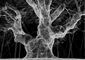 Albion, 2017 (Projetor, leitor multimédia, andaime, película transparente, madeira, tinta, espelho, acessórios de alongamento) de Mat Collishaw
