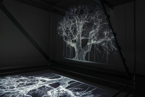 Albion, 2017 (Projetor, leitor multimédia, andaime, película transparente, madeira, tinta, espelho, acessórios de alongamento) de Mat Collishaw