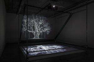 Albion, 2017 (Projetor, leitor multimédia, andaime, película transparente, madeira, tinta, espelho, acessórios de alongamento) de Mat Collishaw
