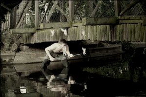 Apanhar fadas 2 de Mat Collishaw