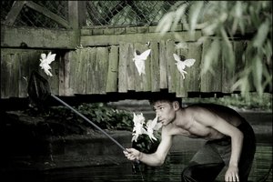 Apanhar fadas 5 de Mat Collishaw