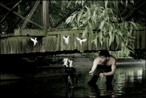 Apanhar fadas 6 de Mat Collishaw