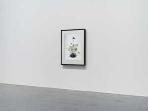 Columbine, 2018 (moldura de madeira, rebordo, ecrã LCD, ventoinha e leitor multimédia) de Mat Collishaw