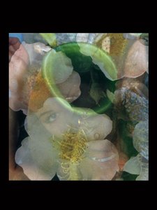 Flesheaters 2 de Mat Collishaw
