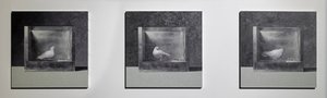 Câmara de condicionamento operante 3, 2022 (óleo sobre painel de alumínio) de Mat Collishaw