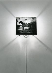 Cavalos Stubbs de Mat Collishaw