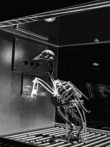 The Machine Zone, 2019 (aço, alumínio, servomotores) de Mat Collishaw