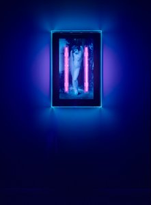 Anjo ultravioleta, 2008 (tinta ultravioleta sobre caixa de plexiglas, 2 luzes de néon ultravioleta) de Mat Collishaw