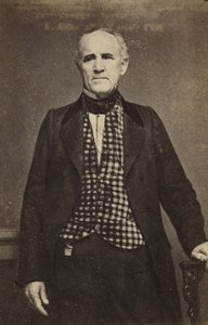 Sam Houston, c.1860-65 (albumen silver print) de Mathew B. Brady