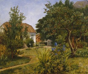 Jardim de verão com casa