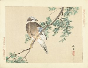 Jay em um galho de Matsumura Keibun