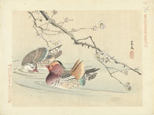 Dois patos Flower and Bird Sketches from Keibun- parte um (título da série) Caneta Keibun kacho gafu zen (título da série no objeto)
