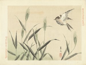 Pássaro voando em gramíneas Flower and Bird Sketches from Keibun- parte um (título da série) Caneta Keibun kacho gafu zen (título da série no objeto) de Matsumura Keibun