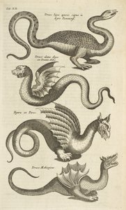 Tab XII, criaturas míticas, dragões, ilustração de 