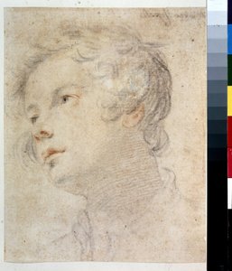 Cabeça de um menino. Pintura de Matteo Rosselli (1578-1650). Giz e giz vermelho sobre papel