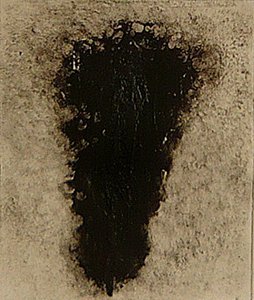ossie, 2009 (helioprint) de Matthew Hilton