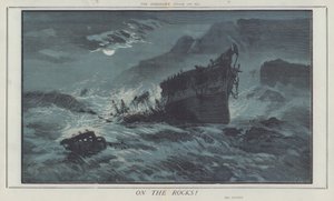 On the Rocks! (cor litho) de Matthew
